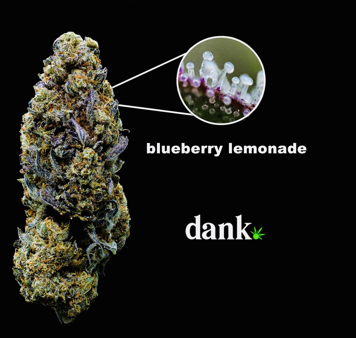 Blueberry Lemonade 2.0 • NEW ReRelease!